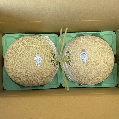 【ふるさと納税】静岡県磐田市 クラウンメロン 白等級 約1.3kg×2個【配送不可地域：離島・北海道・沖縄県】【1640718】 サムネイル2