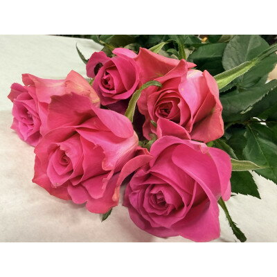 【ふるさと納税】7月発送!同級生コンビでお届けするピンクバラのブーケとおいしいお米(精米)のセット・栄養剤付き!【1708206】 - 画像3