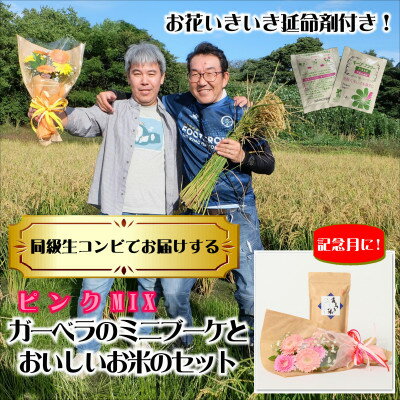 2月発送!同級生コンビでお届けするガーベラピンクブーケとおいしいお米のセット・お花長持ち栄養剤付き!【1708216】