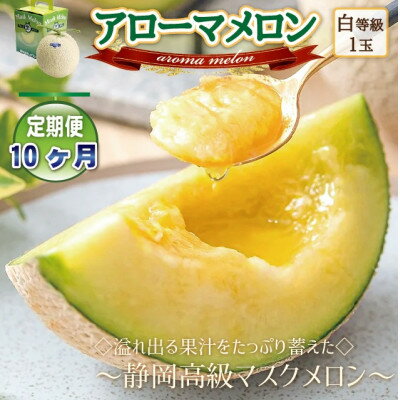 【毎月定期便】アローマメロン1玉(約1.0kg以上/玉)【静岡高級マスクメロン】　全10回【配送不可地域：離島・北海道・沖縄県】【4071900】