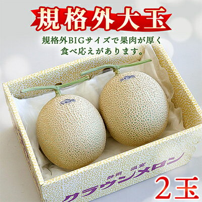 【ふるさと納税】【規格外BIGサイズ!】クラウンメロン規格外大玉　2玉_ クラウンメロン メロン フルーツ 果物 くだもの 静岡県 マスクメロン 常温 人気 おすすめ 大玉 規格外 2玉 【配送不可地域：離島・北海道・沖縄県】【1416441】 サムネイル2