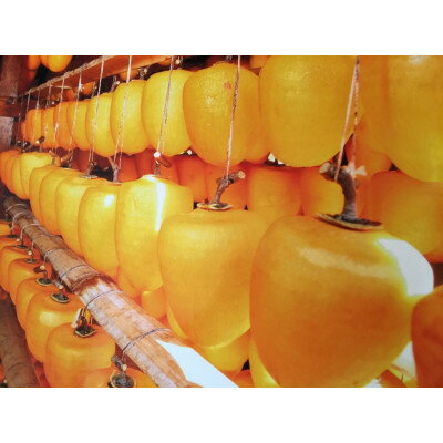 磐田市敷地特産ころ柿　3パック_ 干し柿 柿 ころ柿 ほし柿 ほしがき 干柿 干しがき かき カキ 菓子 おやつ お菓子 スイーツ 和菓子 和スイーツ 果物 くだもの ドライフルーツ 贈答 ギフト プレゼント 3パック 常温 静岡県 磐田市 送料無料 【1417447】