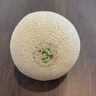 【ふるさと納税】訳あり静岡温室マスクメロン1個入【配送不可地域：離島・北海道・沖縄県】【1438406】 サムネイル3