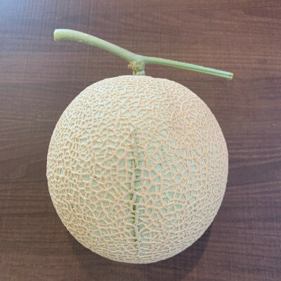 【ふるさと納税】訳あり静岡温室マスクメロン2個入_ メロン マスクメロン めろん ますくめろん 訳あり 2個 大玉 温室 果物 くだもの フルーツ 甘い デザート 産直 産地直送 家庭用 自宅用 静岡県 送料無料 【配送不可地域：離島・北海道・沖縄県】【1438410】 サムネイル2