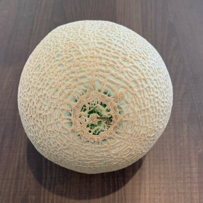 【ふるさと納税】訳あり静岡温室マスクメロン2個入_ メロン マスクメロン めろん ますくめろん 訳あり 2個 大玉 温室 果物 くだもの フルーツ 甘い デザート 産直 産地直送 家庭用 自宅用 静岡県 送料無料 【配送不可地域：離島・北海道・沖縄県】【1438410】 サムネイル3