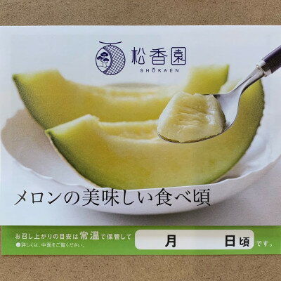 【ふるさと納税】高級静岡温室マスクメロン1個入(化粧箱入)【配送不可地域：離島・北海道・沖縄県】【1438647】 サムネイル3