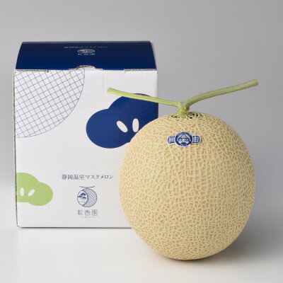 【ふるさと納税】静岡温室マスクメロン1個入(化粧箱入)_ メロン マスクメロン めろん 化粧箱 箱 1個 果物 くだもの フルーツ 甘い おいしい デザート 産直 産地直送 贈答 ギフト プレゼント 贈り物 静岡県 送料無料 【配送不可地域：離島・北海道・沖縄県】【1438666】 サムネイル2
