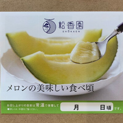 【ふるさと納税】高級静岡温室マスクメロン大2個入(化粧箱入)_ メロン マスクメロン めろん 化粧箱 2個 大玉 果物 くだもの フルーツ 甘い おいしい デザート 産直 産地直送 贈答 ギフト プレゼント 静岡県 送料無料 【配送不可地域：離島・北海道・沖縄県】【1438714】 サムネイル3