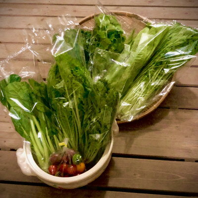 野菜ソムリエ推奨!鍋におすすめの野菜詰め合わせセット【香りと食味を楽しむ8品目】【配送不可地域：離島】【1454175】