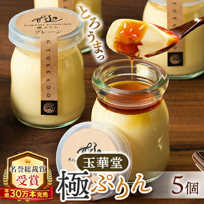 【名誉総裁賞受賞】とろける玉華堂の極ぷりん5個入_ プリン スイーツ 洋菓子 菓子 おやつ おかし 玉華堂 極ぷりん 冷蔵 おすすめ 人気 送料無料 贈答 ギフト プレゼント 【配送不可地域：離島・北海道・沖縄県・東北・中国・四国・九州】【1560979】