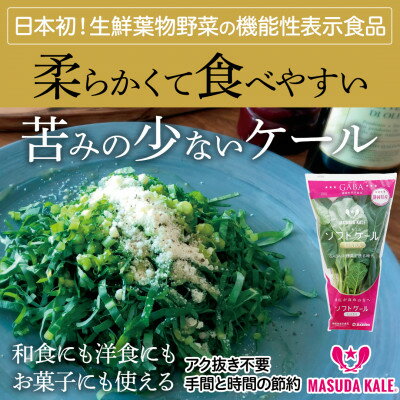 【毎月定期便】TV紹介で大好評 ソフトケール 100g×5袋 健康 腸活応援 スムージー 全3回_ ケール 野菜 スーパーフード やさい 食物繊維 カルシウム サラダ パスタ スムージー 定期便 全3回 産地直送 冷蔵 送料無料 【配送不可地域：離島】【4003774】