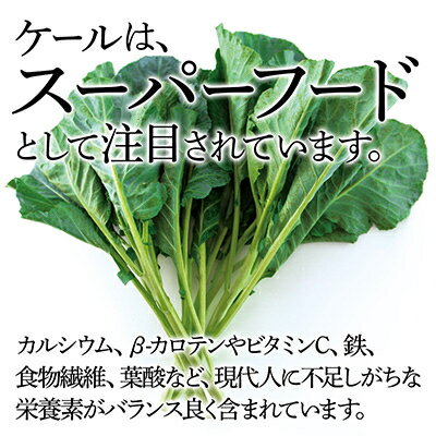 【ふるさと納税】【毎月定期便】TV紹介で大好評 ソフトケール 100g×5袋 健康 腸活応援 スムージー 全3回_ ケール 野菜 スーパーフード やさい 食物繊維 カルシウム サラダ パスタ スムージー 定期便 全3回 産地直送 冷蔵 送料無料 【配送不可地域：離島】【4003774】 - 画像2
