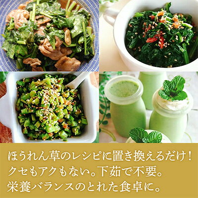 【ふるさと納税】【毎月定期便】TV紹介で大好評 ソフトケール 100g×5袋 健康 腸活応援 スムージー 全3回_ ケール 野菜 スーパーフード やさい 食物繊維 カルシウム サラダ パスタ スムージー 定期便 全3回 産地直送 冷蔵 送料無料 【配送不可地域：離島】【4003774】 - 画像3