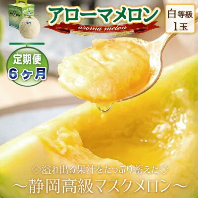 【毎月定期便】アローマメロン1玉(約1.0kg以上/玉)【静岡高級マスクメロン】 全6回_ メロン めろん アローマメロン 定期便 化粧箱 全6回 果物 くだもの フルーツ デザート 産直 産地直送 静岡県 送料無料 【配送不可地域：離島・北海道・沖縄県】【4051489】