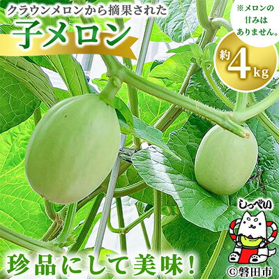 クラウンメロンの子メロン　約4kg_ 子メロン 摘果メロン 摘果 メロン めろん クラウンメロン 約4kg 漬け物 漬物 お漬物 つけもの 浅漬け サラダ 青果 果物 くだもの フルーツ 産直 産地直送 静岡県 送料無料 【1416447】