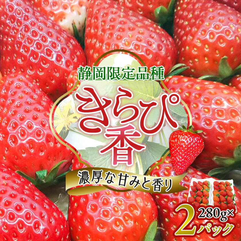 先行予約/2025年12月上旬発送開始!抜群の美味しさ!静岡限定:きらぴ香いちご 280g×2パック_ いちご イチゴ 苺 きらぴ香 ストロベリー 静岡 果物 くだもの フルーツ デザート 【配送不可地域：離島・北海道・沖縄県・東北・中国・四国・九州】【1451174】