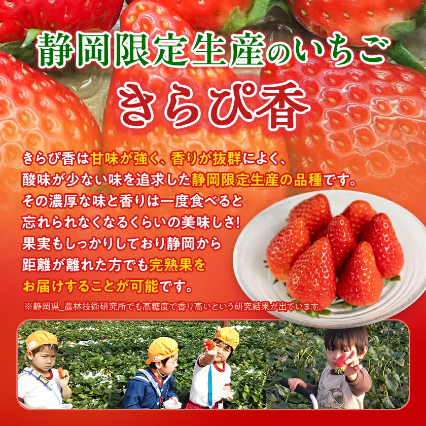 【ふるさと納税】先行予約/2025年12月上旬発送開始!抜群の美味しさ!静岡限定:きらぴ香いちご 280g×2パック_ いちご イチゴ 苺 きらぴ香 ストロベリー 静岡 果物 くだもの フルーツ デザート 【配送不可地域：離島・北海道・沖縄県・東北・中国・四国・九州】【1451174】 サムネイル2