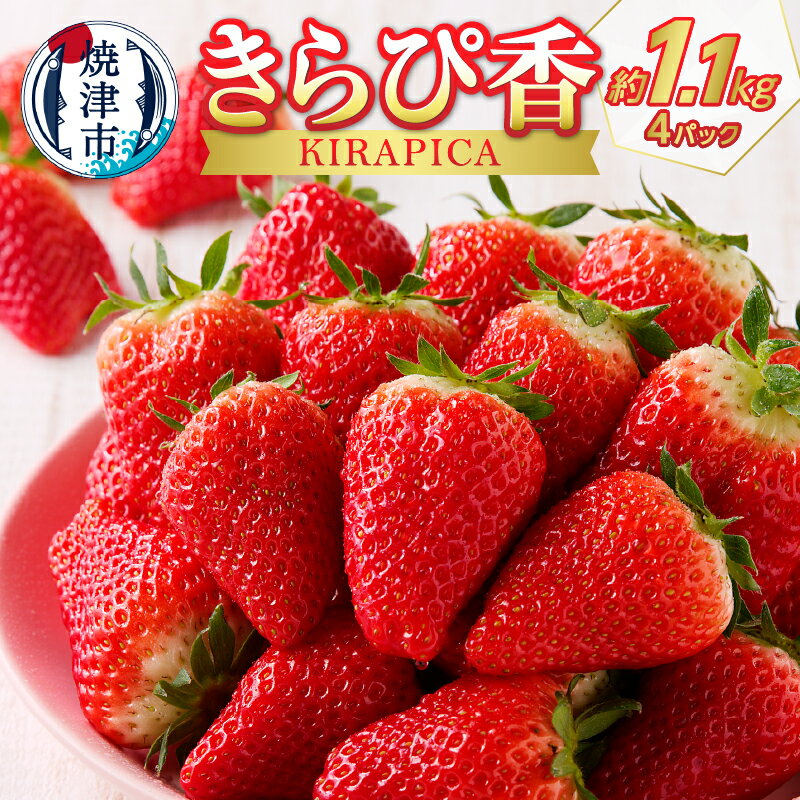 いちご きらぴ香 約1.1Kg 計4パック 果物 フルーツ 冷蔵 焼津 静岡限定生産 a10-421
