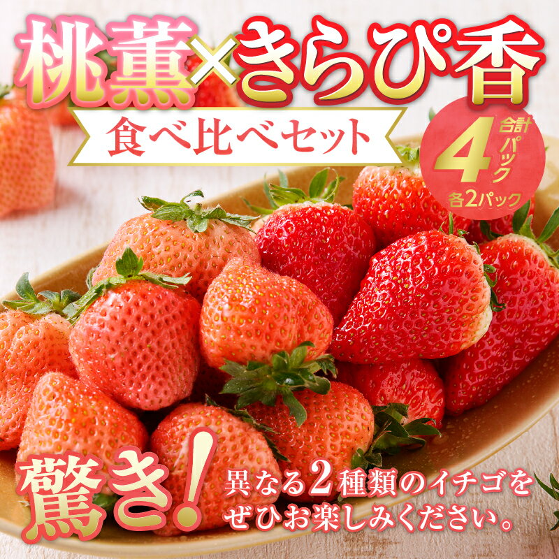 【ふるさと納税】 いちご 桃薫 きらぴ香 食べ比べ セット 計4パック 約5〜15個 果物 フルーツ 冷蔵 焼津 a10-587 - 画像2