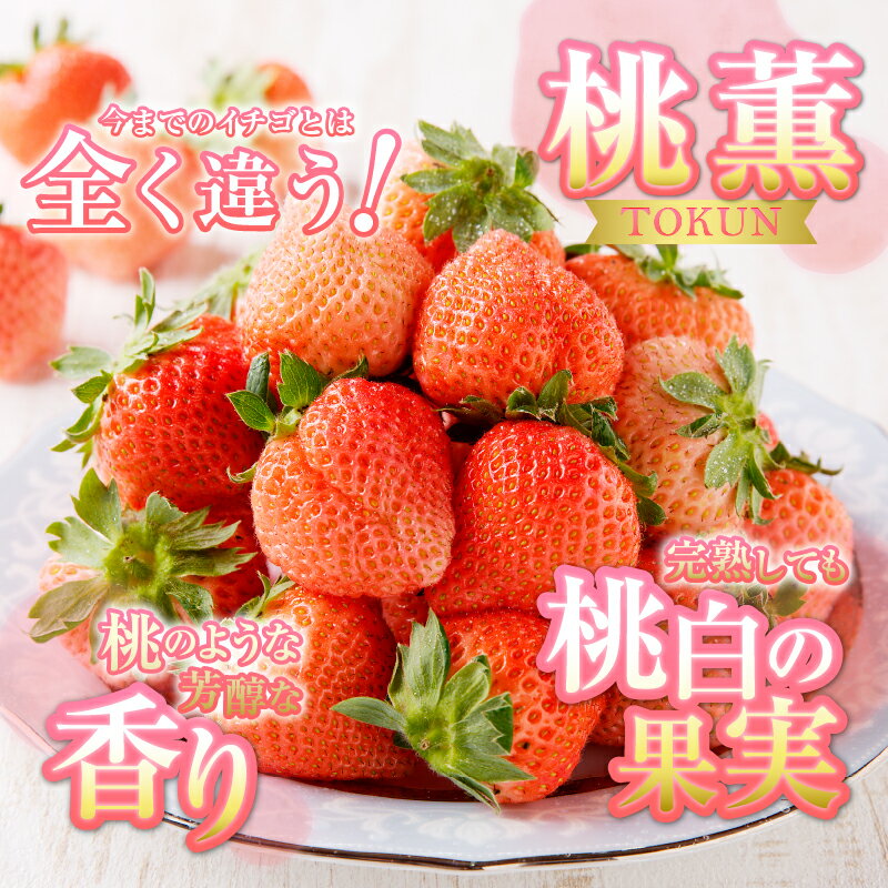 【ふるさと納税】 いちご 桃薫 きらぴ香 食べ比べ セット 計4パック 約5〜15個 果物 フルーツ 冷蔵 焼津 a10-587 - 画像3
