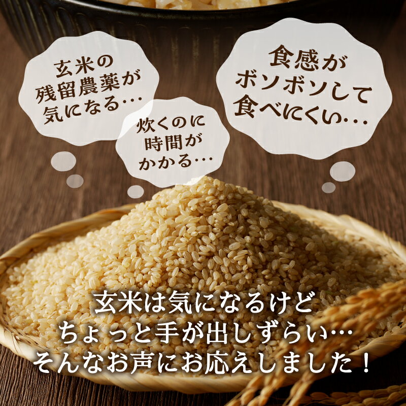 【ふるさと納税】 玄米 お米 ごはん 無農薬 肥料不使用 2kg かんたん玄米 焼津 a21-064 - 画像3