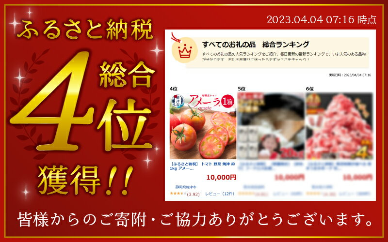 【ふるさと納税】 トマト 野菜 焼津 アメーラトマト 高糖度 産地 直送 化粧箱入 a10-371 サムネイル2