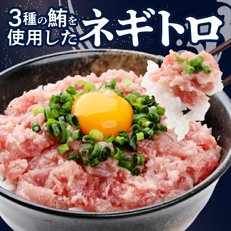 【ふるさと納税】 ネギトロ 1.6kg ランキング急上昇中！ 100g×16パック まぐろ 天然 黄肌鮪 目鉢鮪 ビンチョウ鮪 合計1.6kg 小分け 個包装 便利 簡単 魚 冷凍 焼津 ねぎとろ 10,000円 10000円 ランキング 急上昇 高評価 a10-1289 - 画像3