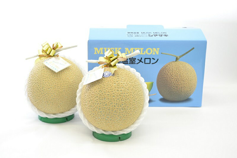 メロン マスクメロン 約1.2kg 2玉 温室育ち 焼津 静岡 白 a20-205