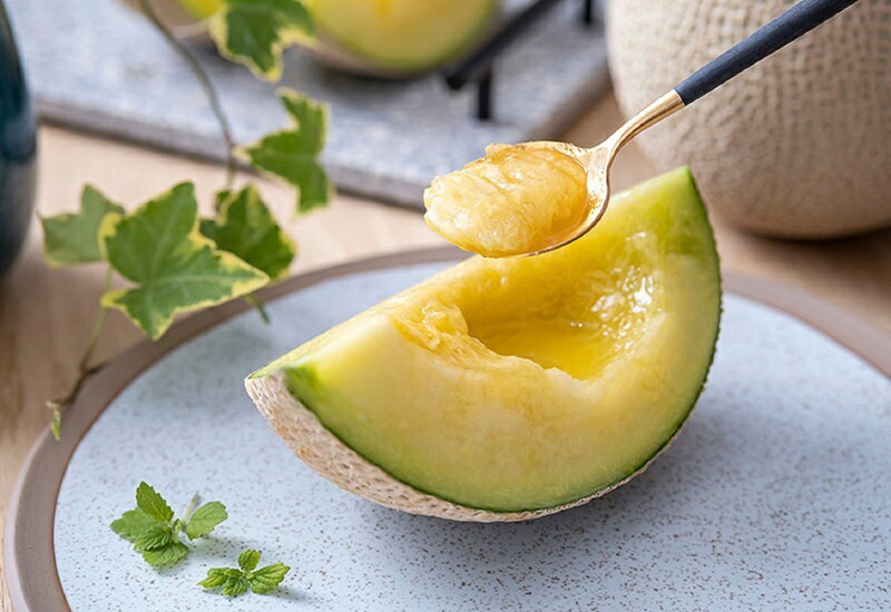 【ふるさと納税】 メロン アローマ 1玉 白等級 温室 一木一果 甘い 旨味 栄養 GABA 果物 焼津 a16-148 サムネイル2