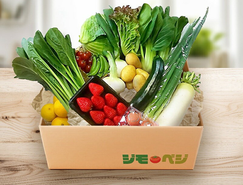【ふるさと納税】 野菜 セット 【選べる容量/お届け回数】 8〜10種類 6〜7種類 各種1キロ〜3キロ 1〜3名様向け ジモベジ おまかせ 旬 新鮮 農家 厳選 直送 定期便 焼津 a10-1232 - 画像2