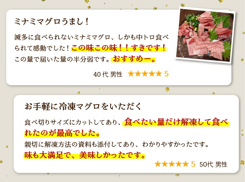 【ふるさと納税】 【選べるお届け時期】 訳あり まぐろ 刺身 中トロ 天然 ミナミマグロ 切り落とし 約700g 選べるお届け月 年内発送 10月～12月発送 2026年発送 焼津 魚 冷凍 a10-1000 サムネイル3