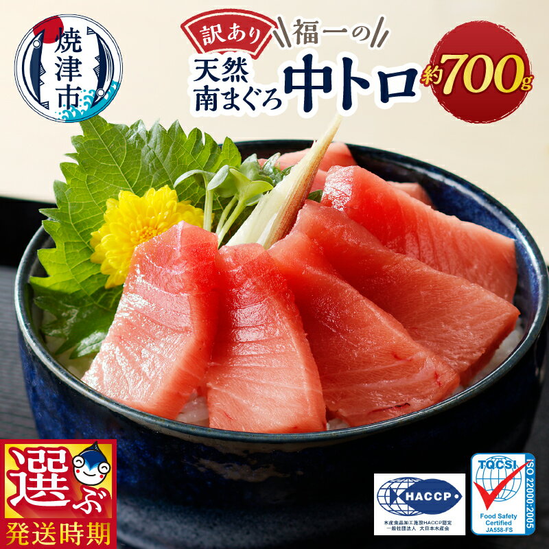 【選べるお届け時期】 訳あり まぐろ 刺身 中トロ 天然 ミナミマグロ 切り落とし 約700g 選べるお届け月 年内発送 10月～12月発送 2026年発送 焼津 魚 冷凍 a10-1000