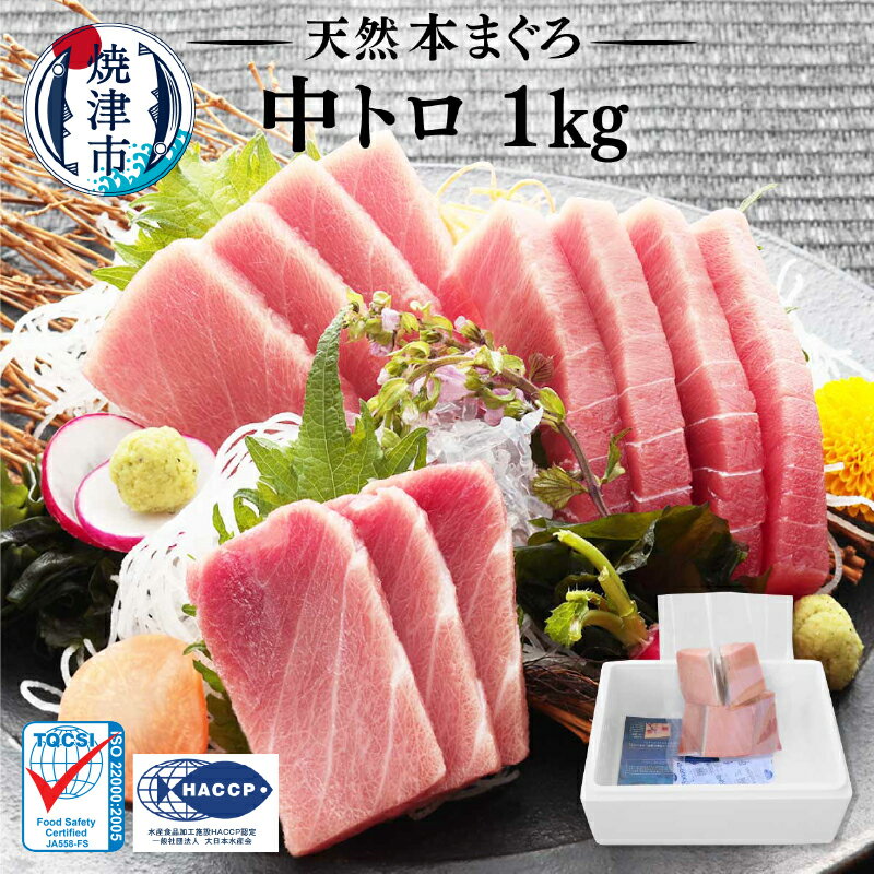 《 レビューキャンペーン 》 訳あり 本まぐろ まぐろ 鮪 天然 中トロ 1kg マグロ 刺身 寿司 丼 冷凍 炙り ぶつ切り まぐろ専門店 天然中トロ 希少 老舗 a23-028