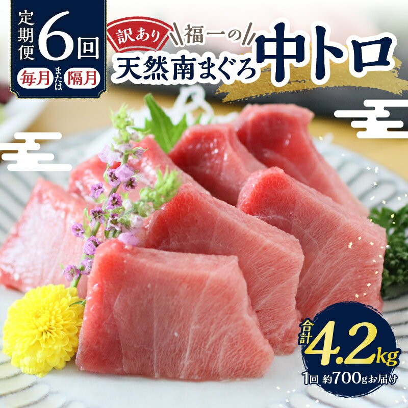 【ふるさと納税】 【定期便選べる6回連続、隔月】 定期便 マグロ 中トロ 訳あり 刺身 ミナミマグロ まぐろ 鮪 切り落とし 約700g×6 a60-020 サムネイル2