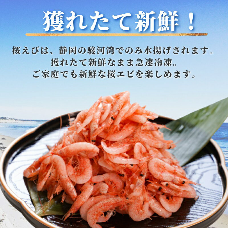 【ふるさと納税】 桜えび 釜揚げ 魚 冷凍 焼津 サクラエビ 100g×3パック 釜揚げ桜えび a10-680 サムネイル2