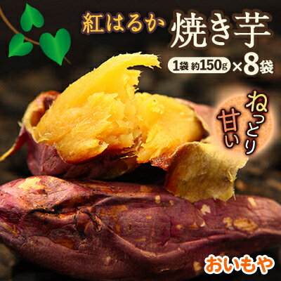 静岡県掛川市　おいもやの焼き芋8袋セット_ さつまいも やきいも 焼き芋 焼いも スイーツ レンチン 冷蔵 人気 おすすめ 送料無料 贈答 ギフト 【配送不可地域：離島・北海道・沖縄県・四国・九州】【1100952】