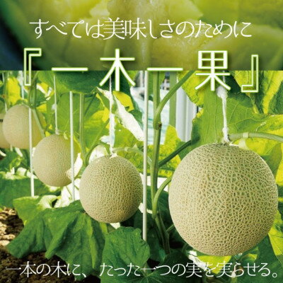 【ふるさと納税】【大玉サイズ!】クラウンメロン(白等級)特大玉　1玉 【通年出荷】【配送不可地域：離島・北海道・沖縄県】【1104734】 サムネイル2