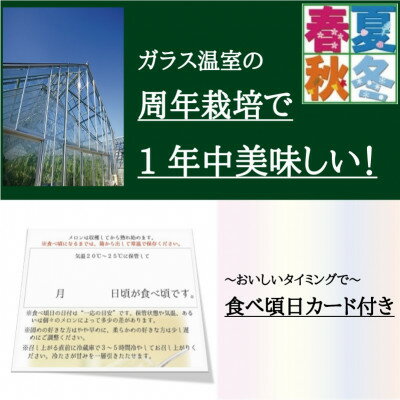 【ふるさと納税】【名人芸の味】クラウンメロン(山等級)　極みメロン　1玉　【桐箱入】【配送不可地域：離島・北海道・沖縄県】【1104737】 サムネイル3