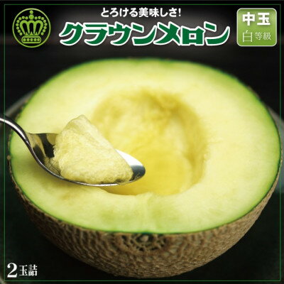【通年出荷】クラウンメロン(白等級)中玉　2玉詰【配送不可地域：離島・北海道・沖縄県】【1104742】