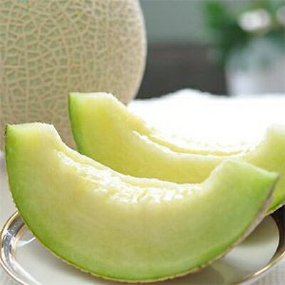 静岡県産　高級アローマメロン　白級 約1.4kg× 4玉( 2玉×2箱 )【配送不可地域：離島・北海道・沖縄県】【1133009】