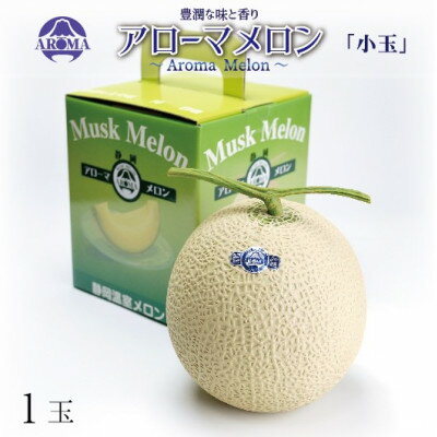 【通年出荷】アローマメロン(小玉) 1玉入【配送不可地域：離島・北海道・沖縄県】【1170104】