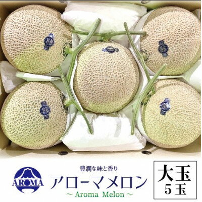 【通年出荷】アローマメロン 白等級(大玉) 5玉入【配送不可地域：離島・北海道・沖縄県】【1170112】