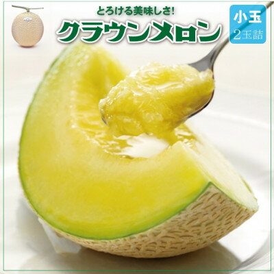 【通年出荷】クラウンメロン(小玉) 2玉詰【配送不可地域：離島・北海道・沖縄県】【1486520】
