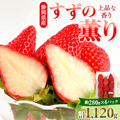 静岡県掛川市産　ミズノ農園の完熟いちご「すずの薫り」　約280g×4パック【配送不可地域：離島・北海道・沖縄県・東北・中国・四国・九州】【1490919】