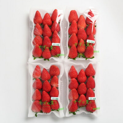 【ふるさと納税】静岡県掛川市産　ミズノ農園の完熟いちご「すずの薫り」　約280g×4パック【配送不可地域：離島・北海道・沖縄県・東北・中国・四国・九州】【1490919】 サムネイル2