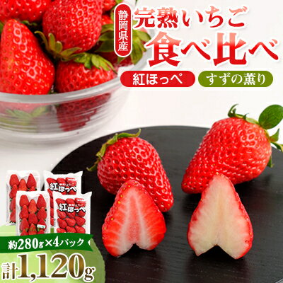 静岡県掛川市産　ミズノ農園の完熟いちご「紅ほっぺ」「すずの薫り」2種各2パック食べ比べセット【配送不可地域：離島・北海道・沖縄県・東北・中国・四国・九州】【1490920】