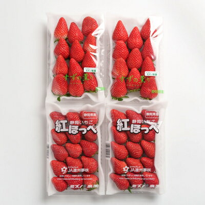 【ふるさと納税】静岡県掛川市産　ミズノ農園の完熟いちご「紅ほっぺ」「すずの薫り」2種各2パック食べ比べセット【配送不可地域：離島・北海道・沖縄県・東北・中国・四国・九州】【1490920】 サムネイル2
