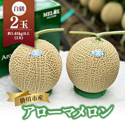静岡暗室マスクメロン アローマ印　　　　　白級約1.45kg以上　2玉【配送不可地域：離島・北海道・沖縄県】【1502264】