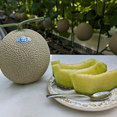 【ふるさと納税】静岡暗室マスクメロン アローマ印　　　　　白級約1.45kg以上　2玉【配送不可地域：離島・北海道・沖縄県】【1502264】 サムネイル2