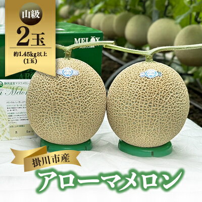 静岡暗室マスクメロン アローマ印　　　　　山級約1.45kg以上　2玉【配送不可地域：離島・北海道・沖縄県】【1502265】